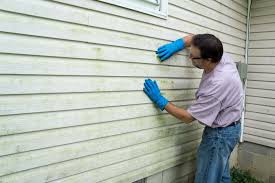 Best Siding Maintenance  in Orange, CA